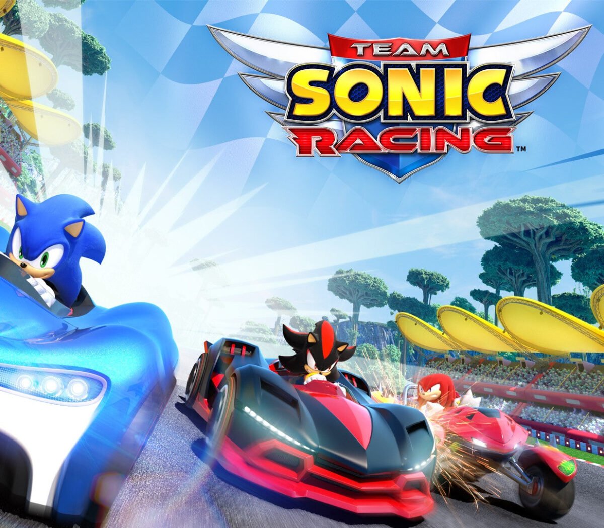 Team Sonic Racing Steam Key EUROPE